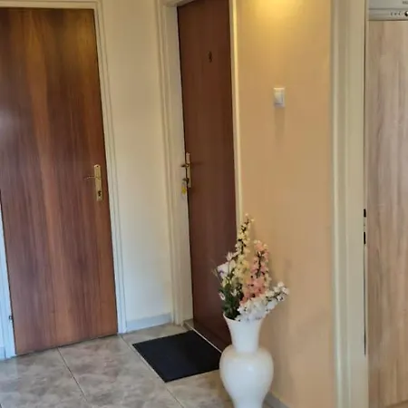 게스트하우스 House