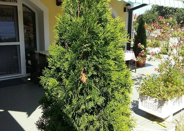 House 3* Ásványráró